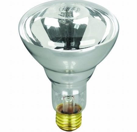 Bombillo 12V 100W R-30 p/ Piscina